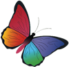 Schmetterling - Symbol für Heilung und Transformation
