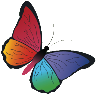 Schmetterling – Symbol für Heilung und Transformation